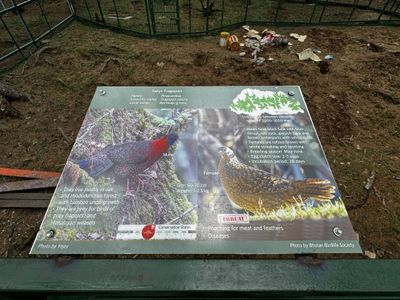 IMG_3278.jpg