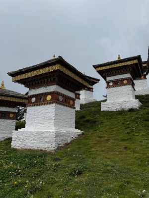 IMG_3328.jpg