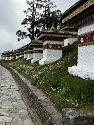 IMG_3332.jpg