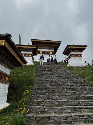 IMG_3339.jpg