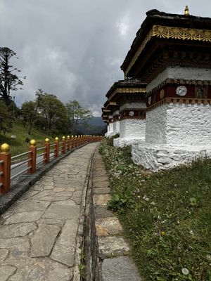 IMG_3340.jpg