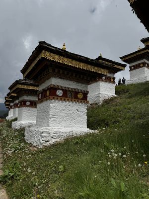 IMG_3341.jpg