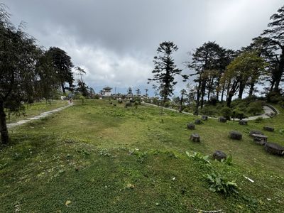 IMG_3347.jpg