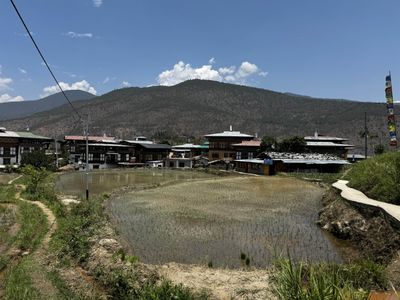 IMG_3367.jpg