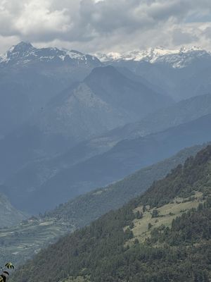 IMG_3510.jpg