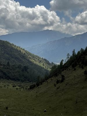 IMG_3524.jpg