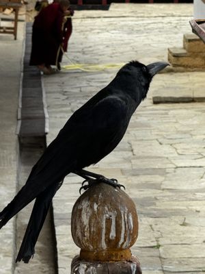 IMG_3552.jpg