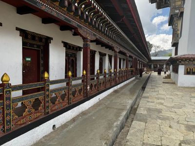 IMG_3557.jpg