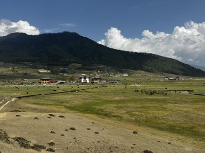 IMG_3614.jpg
