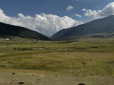 IMG_3615.jpg
