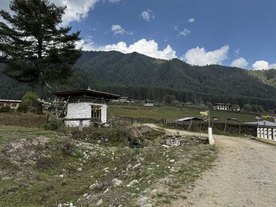 IMG_3590.jpg
