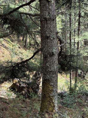 IMG_3598.jpg