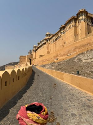 IMG_2553_011023.jpeg