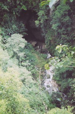 Rio Camuy Cave Park 7
