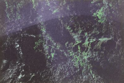 Rio Camuy Cave Park 8
