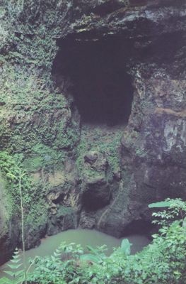 Rio Camuy Cave Park 12