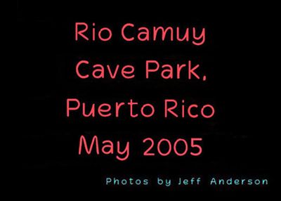 Rio Camuy Cave Park, Puerto Rico (May 2005)