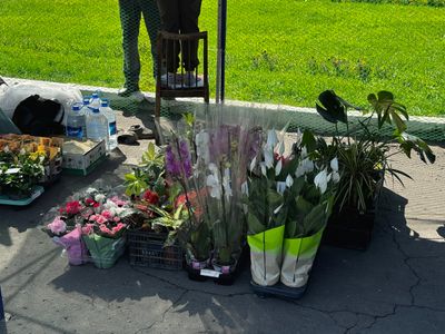 g13/73/691773/3/175034631.b72fce0f.JPEG