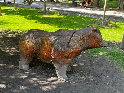 *IMG_4242.jpg