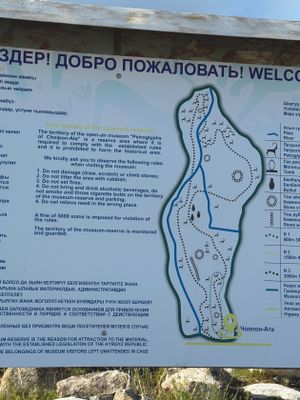 *IMG_4386.jpg