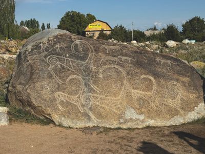 *IMG_4387.jpg