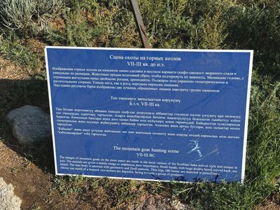 *IMG_4390.jpg