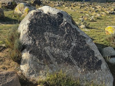 *IMG_4394.jpg