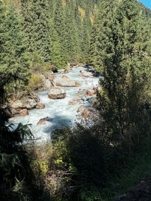 *IMG_4431.jpg