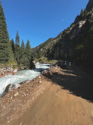 *IMG_4433.jpg