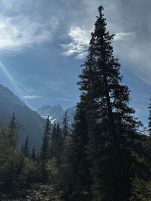 *IMG_4448.jpg
