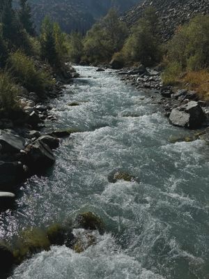 *IMG_4454.jpg