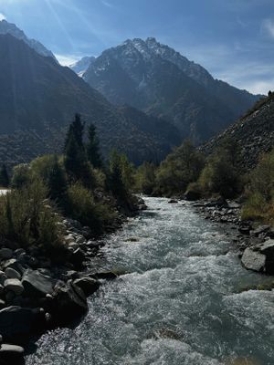 *IMG_4456.jpg