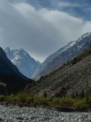 *IMG_4464.jpg