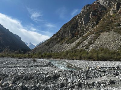 *IMG_4465.jpg