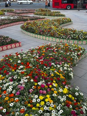 *IMG_4842.jpg