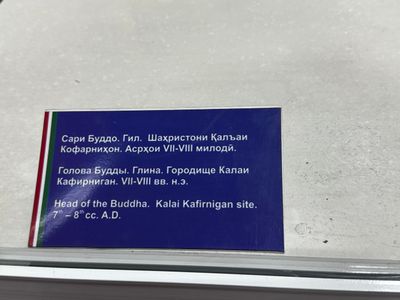 *IMG_4750.jpg