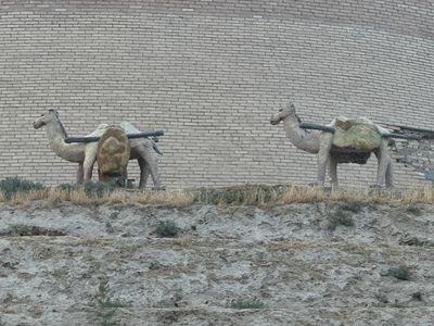 *IMG_4988.jpg