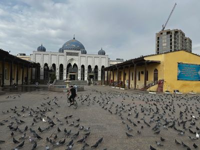 *IMG_5022.jpg