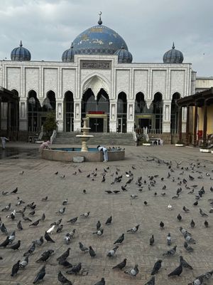 *IMG_5023.jpg