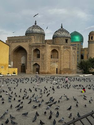*IMG_5024.jpg