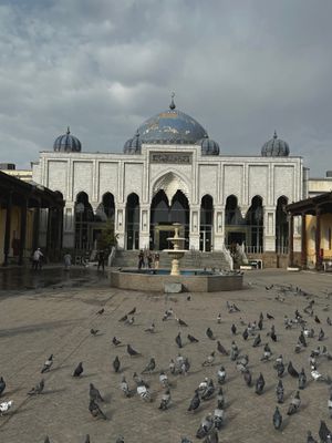 *IMG_5034.jpg