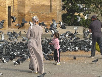 *IMG_5040.jpg
