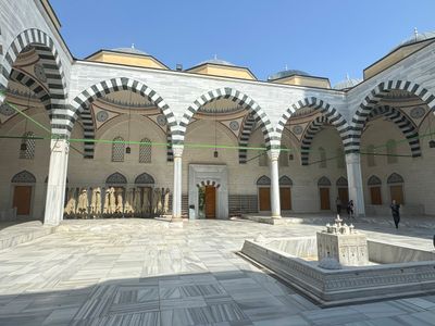 *IMG_6341.jpg