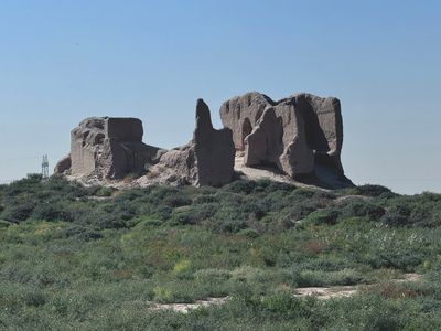 *IMG_5794.jpg