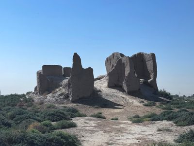 *IMG_5797.jpg