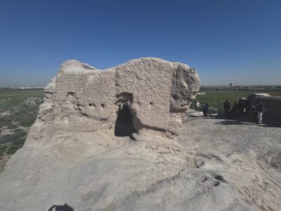 *IMG_5808.jpg