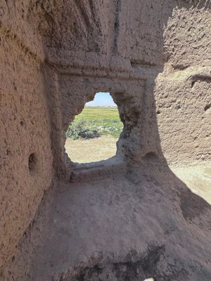 *IMG_5810.jpg