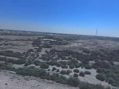 *IMG_5843.jpg
