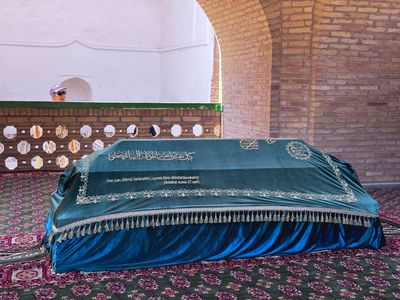 *IMG_5884.jpg