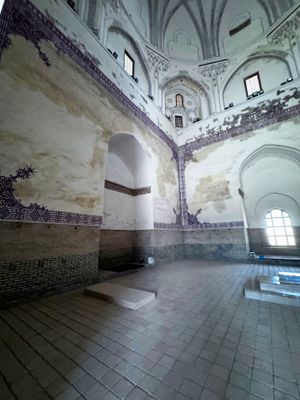 *IMG_5898.jpg